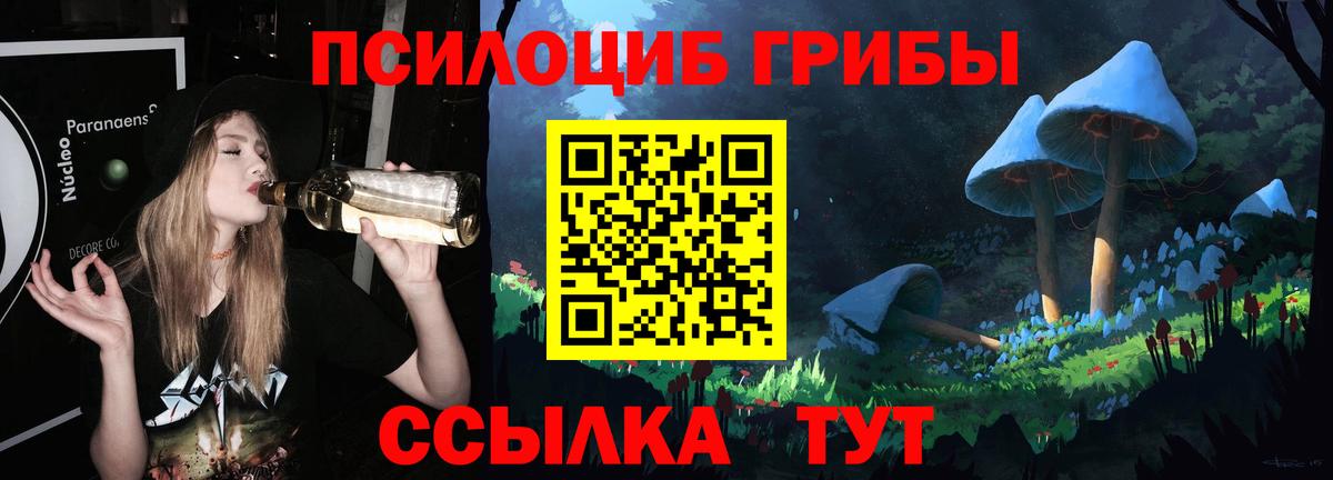 Псилоцибиновые грибы GOLDEN TEACHER Ртищево