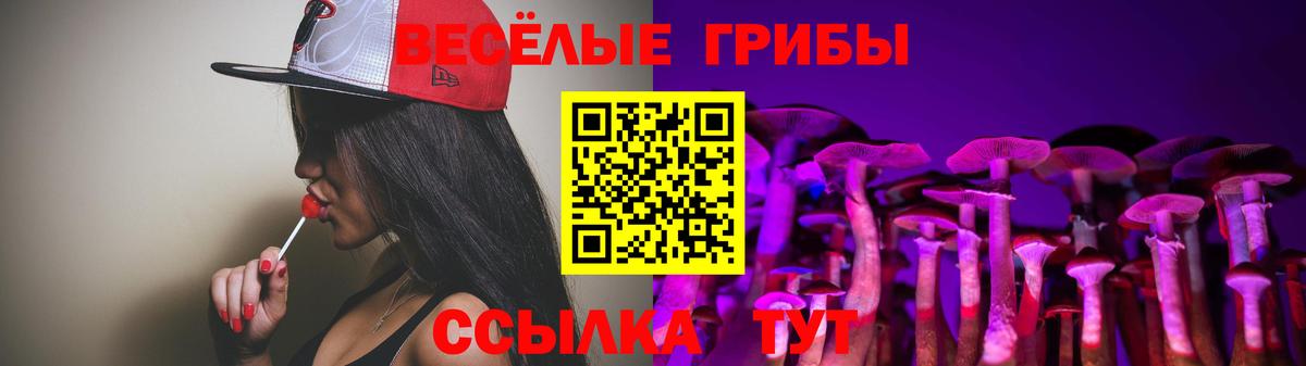 Галлюциногенные грибы GOLDEN TEACHER  Галлюциногенные грибы Psilocybe  Ртищево  Вход с VPN 